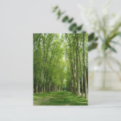 De Bomen van Versailles tuiniert Romantische Weg Briefkaart (Staand voorkant)