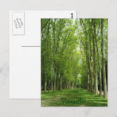De Bomen van Versailles tuiniert Romantische Weg Briefkaart (Voorkant / Achterkant)