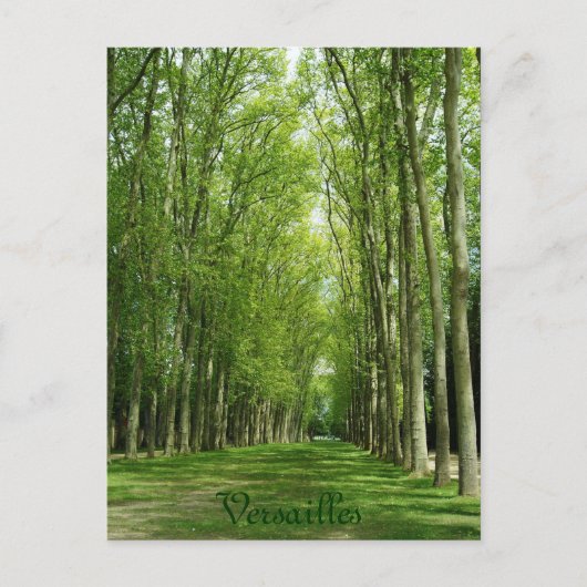 De Bomen van Versailles tuiniert Romantische Weg Briefkaart (Voorkant)