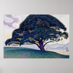 De Bonaventure Pine - Paul Signac Poster