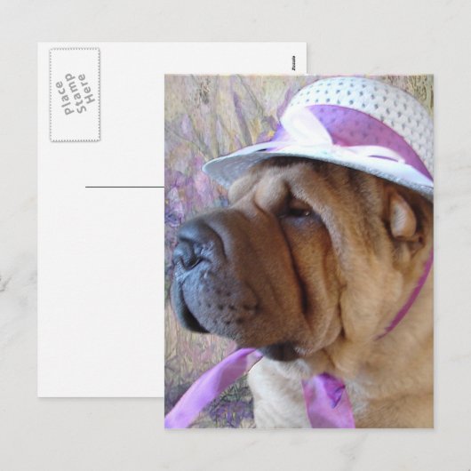 De Bonnet van Pasen Feestdagenkaart (Voorkant / Achterkant)