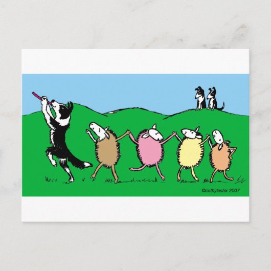 De Bonte Pijper van border collie Briefkaart (Voorkant)
