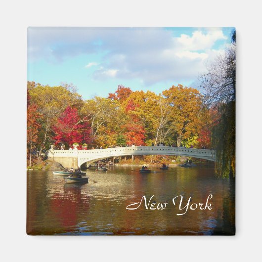 De boogbrug magneet (Voorkant)