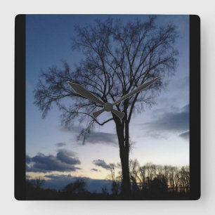 De boom bij de Klok van de Wand van Twilight