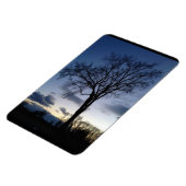 De boom bij Twilight Magnet Magneet (Linkerzijde)