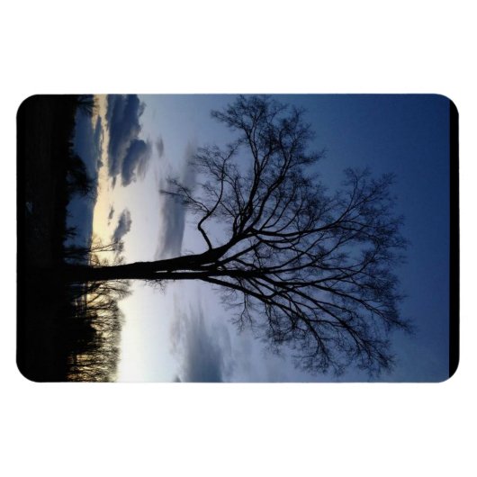De boom bij Twilight Magnet Magneet (Horizontaal)
