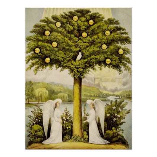 De boom des levens perfect poster (Voorkant)