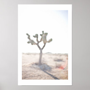 De boom Joshua Poster