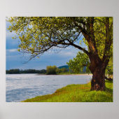 De boom op de bank poster (Voorkant)