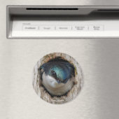 De boom slikt in een Nestbox Magneet (Insitu (Vaatwasser))