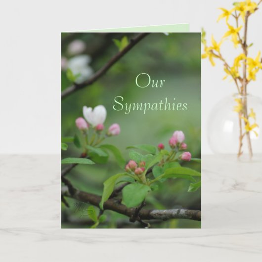 De Boom van Apple Ontloken customzie om het even Kaart (Gele Bloem)