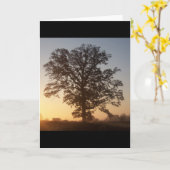 De Boom van Autmn in Dawn Kaart (Gele Bloem)