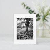 De Boom van Culver Briefkaart (Staand voorkant)