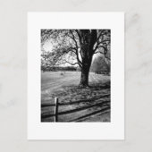 De Boom van Culver Briefkaart (Voorkant)