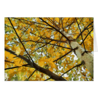De Boom van de Berk van de herfst in Geel