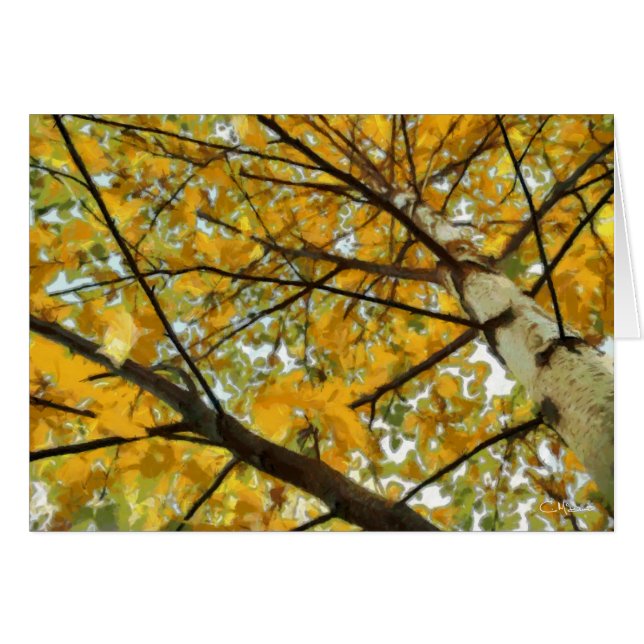 De Boom van de Berk van de herfst in Geel (Voorkant Horizontaal)