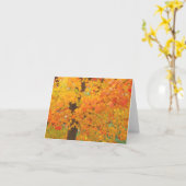 De Boom van de Esdoorn van de herfst bereidt Kaart (Gele Bloem)