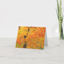 De Boom van de Esdoorn van de herfst bereidt Kaart