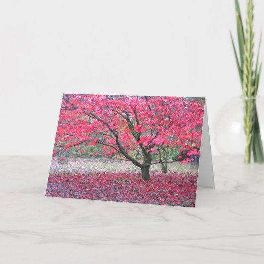 De Boom van de herfst Kaart (Voorkant)