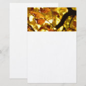 De Boom van de Herfst van de herfst verlaat de Nat Briefpapier (Voorkant / Achterkant)