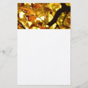De Boom van de Herfst van de herfst verlaat de Nat Briefpapier