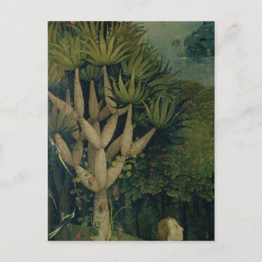 De boom van de kennis van goed en kwaad briefkaart (Voorkant)