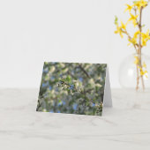 De Boom van de kers in de Lege Kaart van de Lente (Gele Bloem)