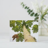 De Boom van de papaja, Nigeria Briefkaart (Staand voorkant)