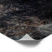 De boom van de tovenaar en de fee poster (Hoek)