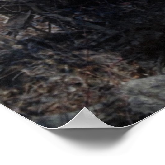 De boom van de tovenaar en de fee poster (Hoek)