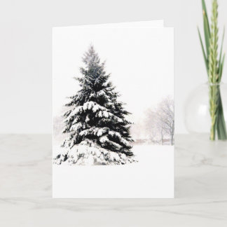 De Boom van de winter Kaart