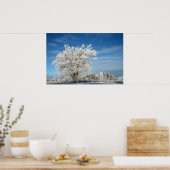 De Boom van het ijs Poster (Keuken)