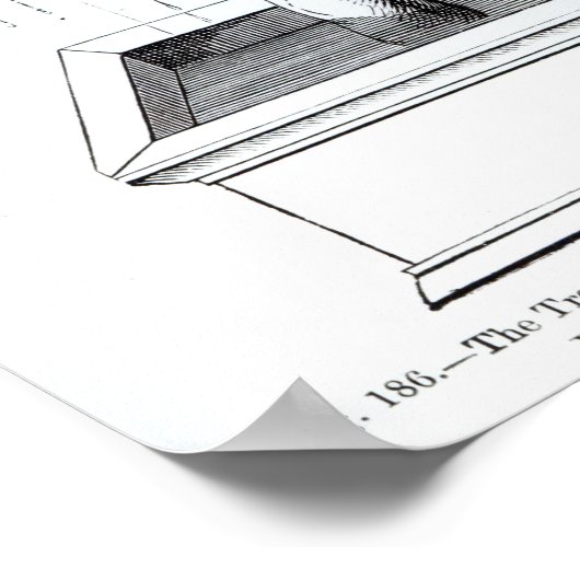 De boom van het leven, of de Woningboom Poster (Hoek)