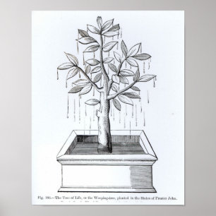 De boom van het leven, of de Woningboom Poster