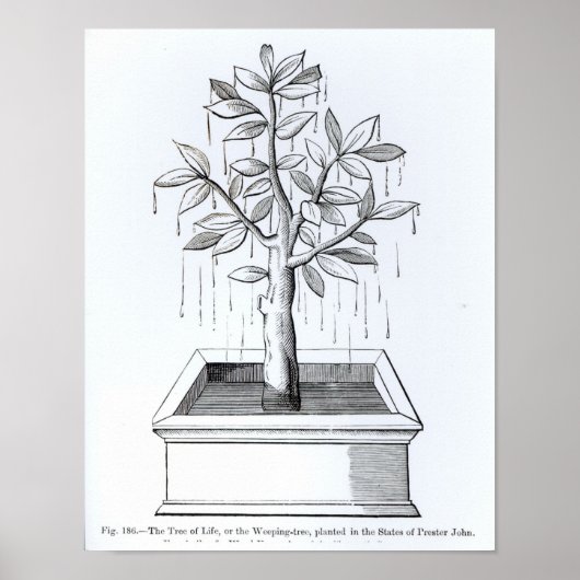 De boom van het leven, of de Woningboom Poster (Voorkant)