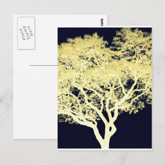 De Boom van Jacaranda Briefkaart (Voorkant / Achterkant)