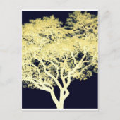 De Boom van Jacaranda Briefkaart (Voorkant)