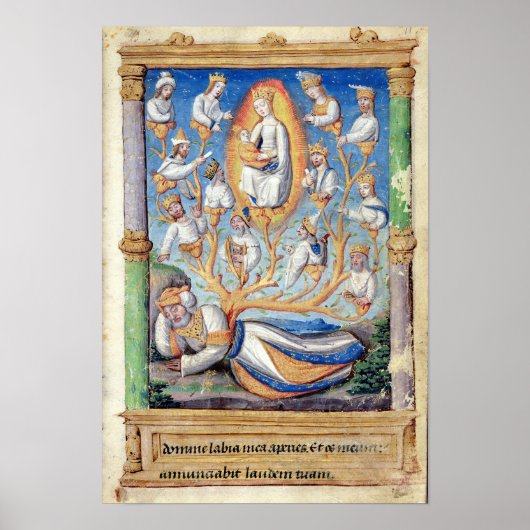 De boom van Jesse Poster (Voorkant)