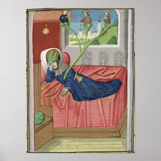 De boom van Jesse Poster (Voorkant)