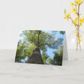 De Boom van Kentucky Kaart (Gele Bloem)