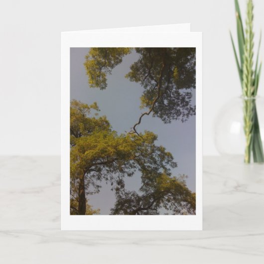 De boom van Lange het Leven van het Leven & bloeit Kaart (Voorkant)