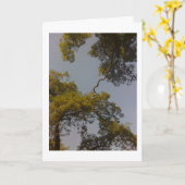 De boom van Lange het Leven van het Leven & bloeit Kaart (Gele Bloem)