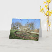 De Boom van Newton bij Manor Woolthorpe Kaart (Gele Bloem)