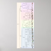 De boom van Yum: Animalia Print (Voorkant)