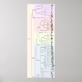 De boom van Yum: Animalia Print