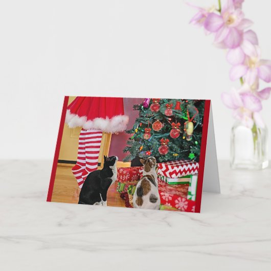 De boom versieren kaart (Orchidee)