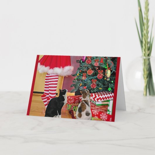 De boom versieren kaart (Voorkant)