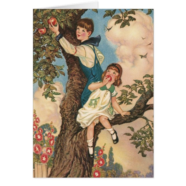 De boomklimmers (Voorkant)