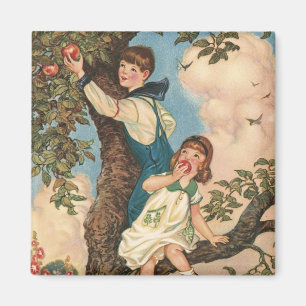 De Boomklimmers Magneet