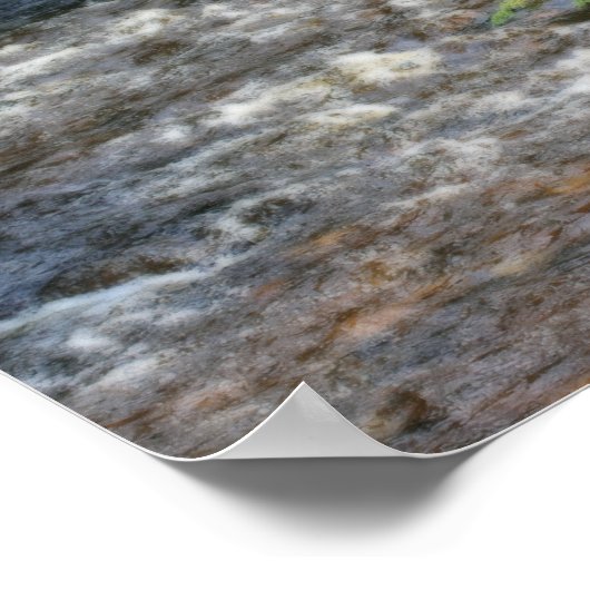 De boomtakken van de pijn over Rapids in Stream Or Poster (Hoek)